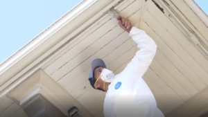 photo of kind home painter in ppe