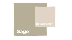 image of color scheme featuring sage