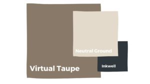 image of color scheme featuring virtual taupe
