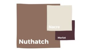 image of color schemes featuring nuthatch