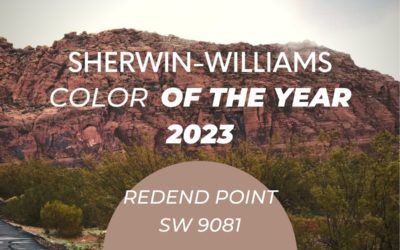 Sherwin Williams 2023 Color of the Year