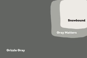 Photo of multiple color swatches featureing Grizzle gray, snowbound and gray matters