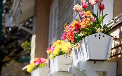 Why Spring is the Best Time to Paint Your Exterior