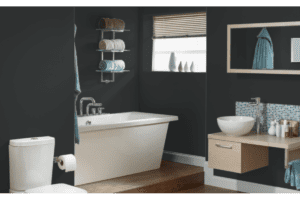 sherwin williams color visualizer of a bathroom with greenblack walls