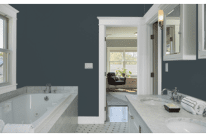 sherwin williams color visualizer of a bathroom with mount etna walls