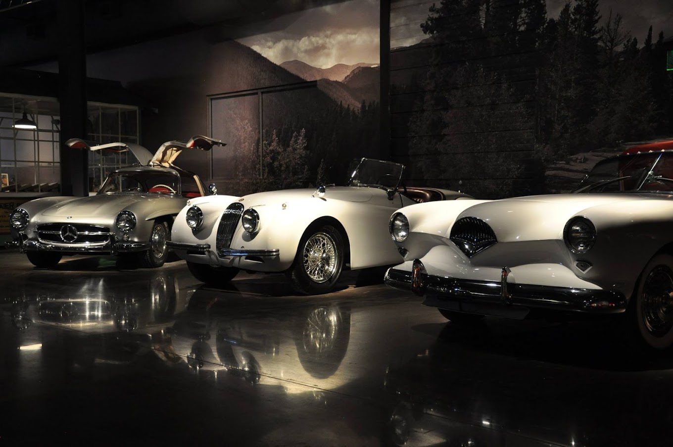 image of rare vehicles from vehicle vault museum