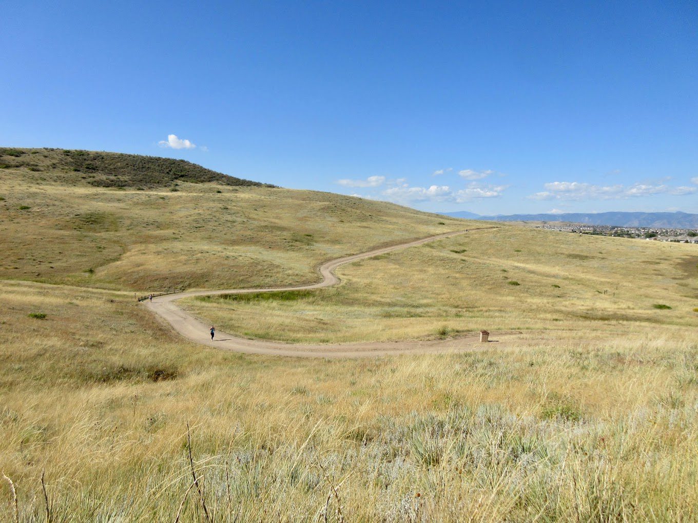 photo of bluffs regional park