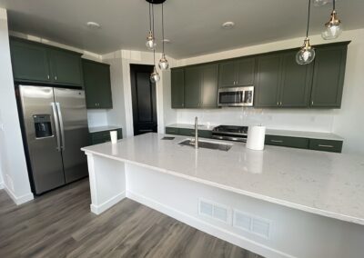 Image of interior cabinets in green